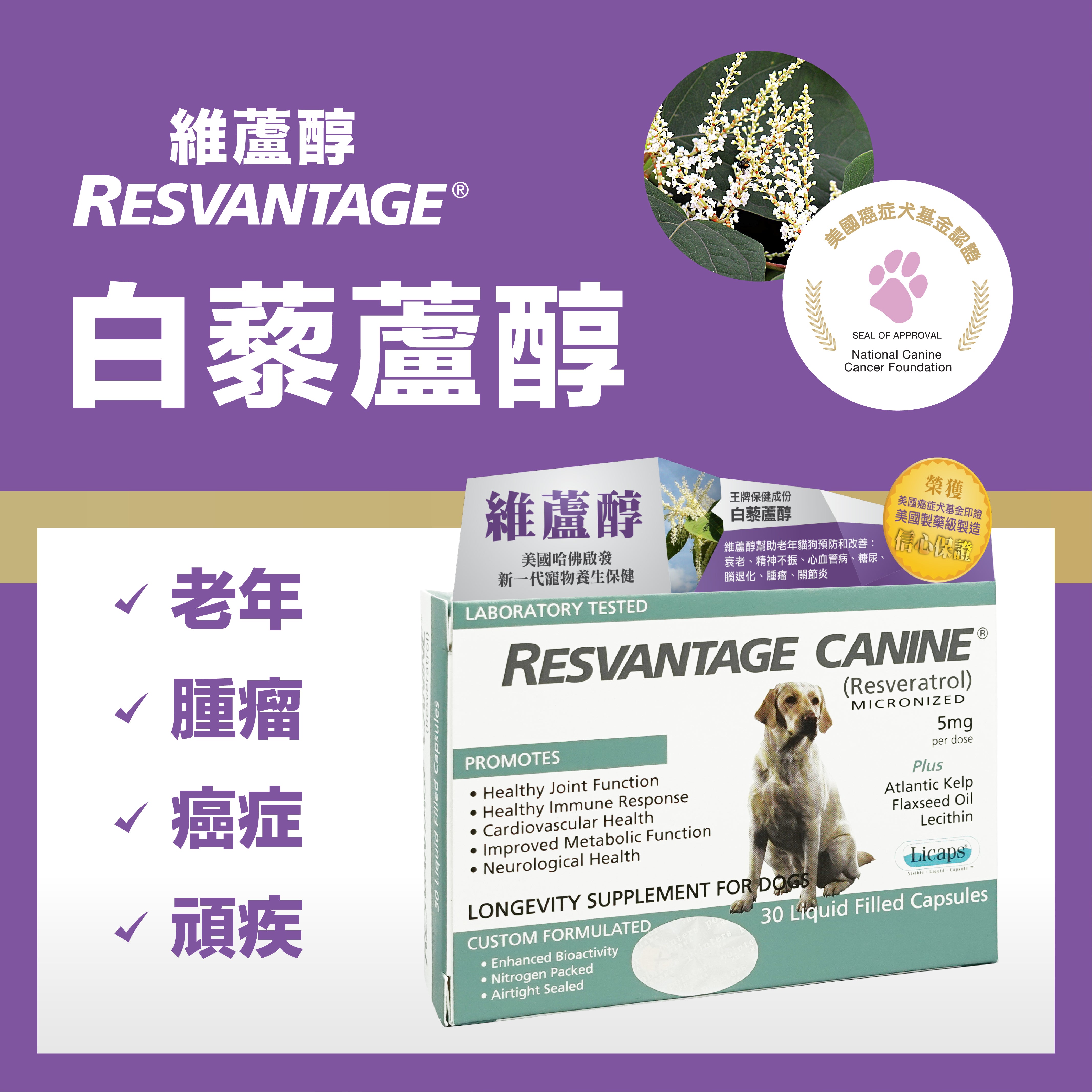 Resvantage® Canine 白藜蘆醇犬用保健品 30粒