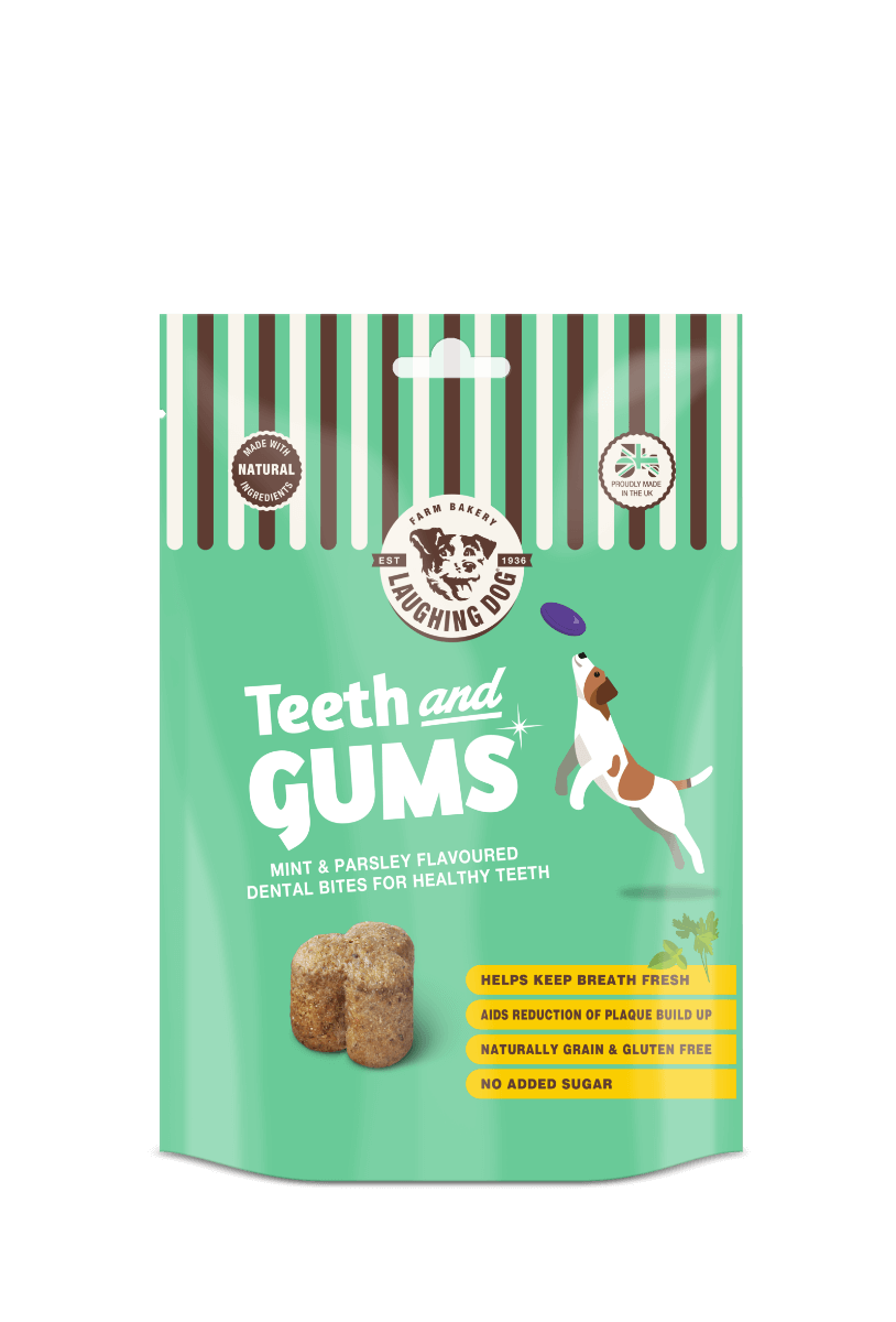 Laughing Dog - Teeth and Gums